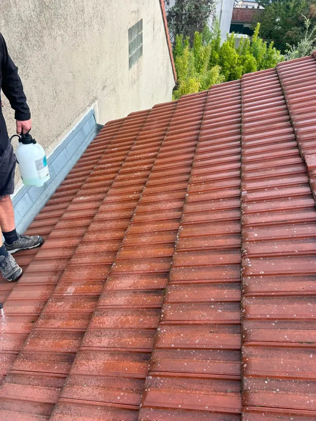 Application du traitement Dalep 2100 sur une toiture en tuiles mécaniques à Villejuif