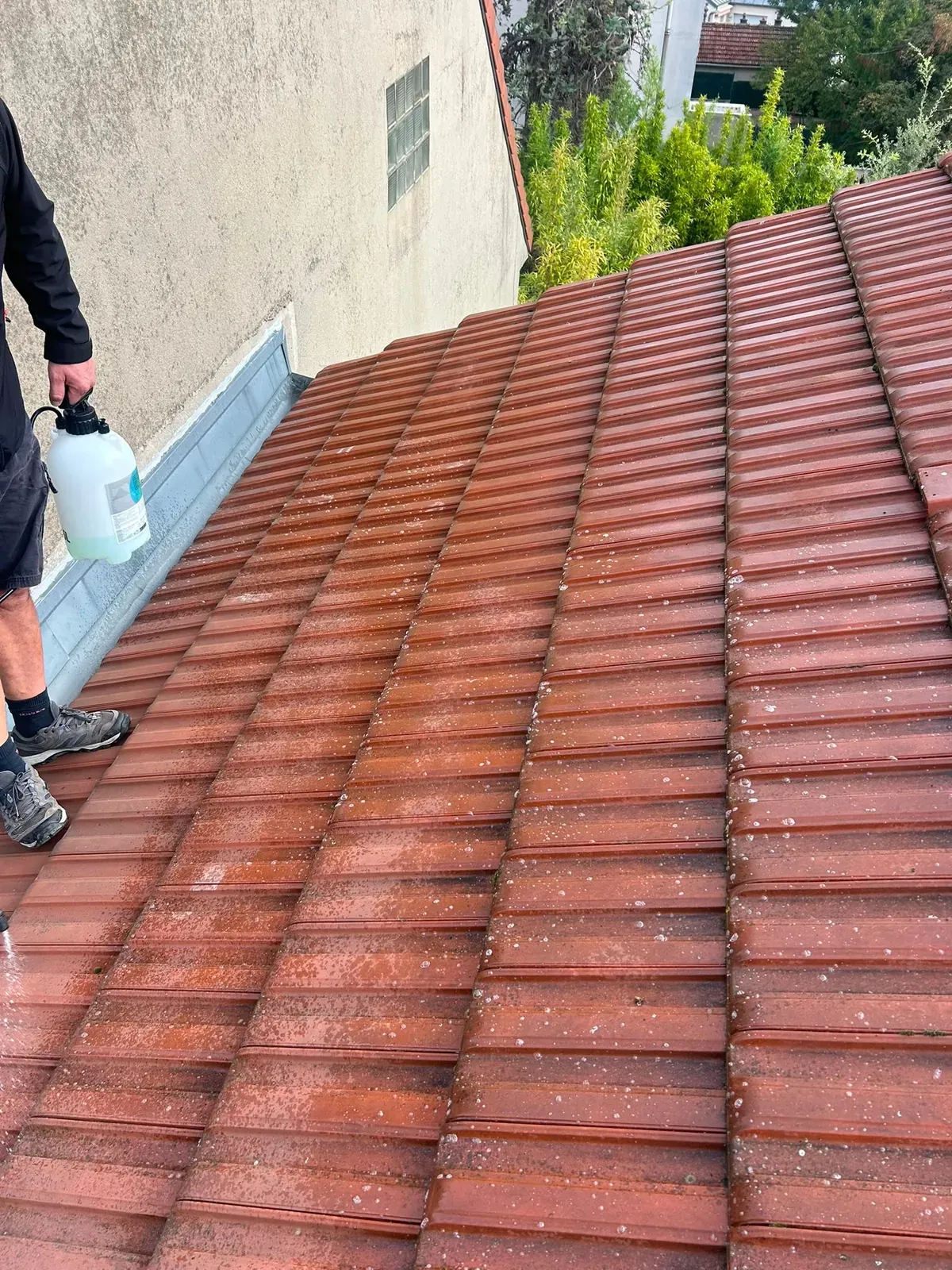 Application du traitement Dalep 2100 sur une toiture en tuiles mécaniques à Villejuif