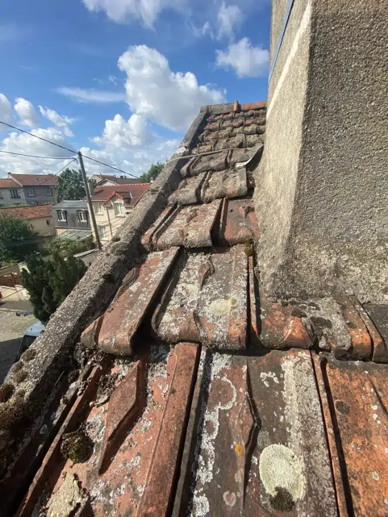 Tuiles plates anciennes cassées et lichens en bordure de faîtage — toiture à reprendre dans le Val-de-Marne