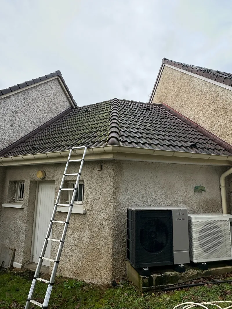 Toiture en tuiles envahie par les mousses sur pavillon — LD Couvreur Val-de-Marne