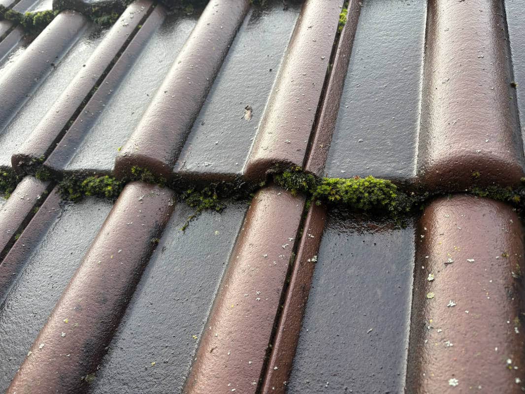 Application de traitement hydrofuge dans le val de marne 94