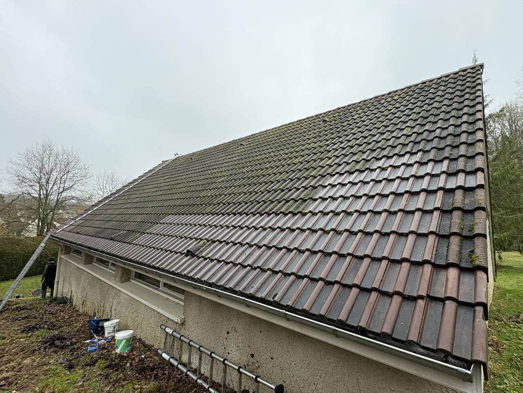 gros plan sur une toiture a moitié recouverte de mousses